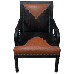 Chair Arizona 4 chr48a
